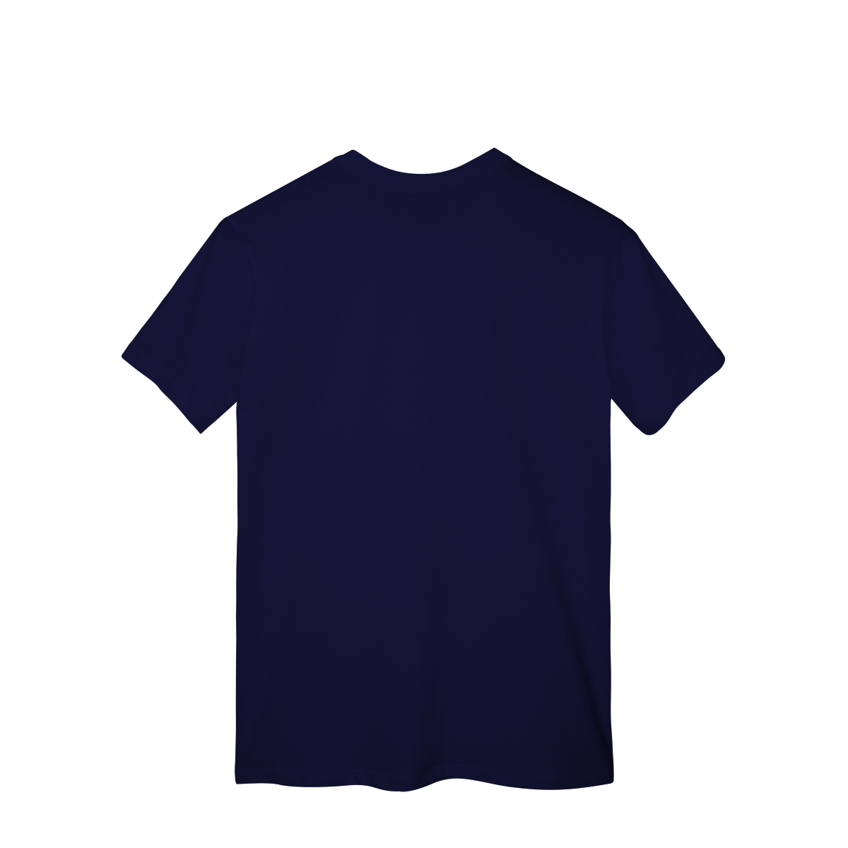 Camisa T-Shirt Classic SANEMI Demon Slayer