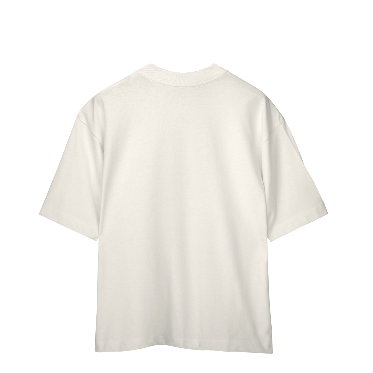 Camiseta Oversized Egypt